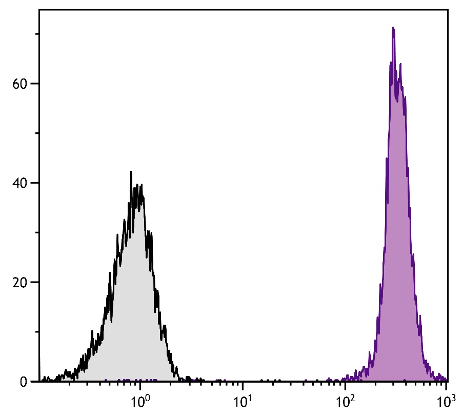 Ptprc Antibody (APC)