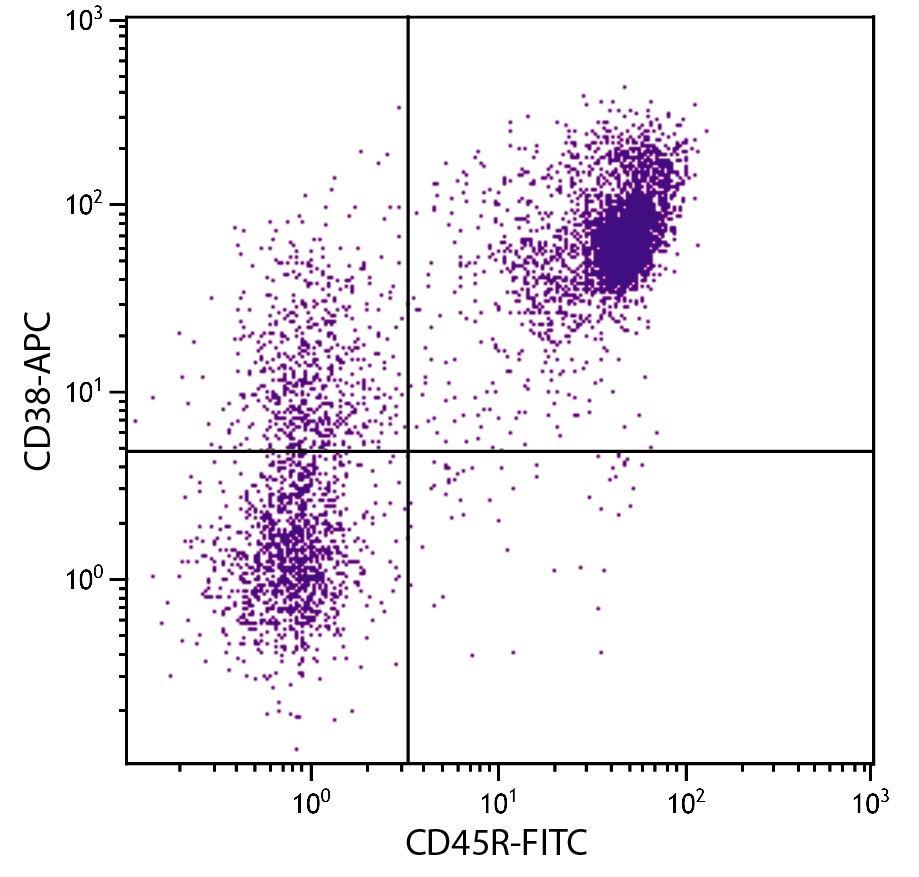 Cd38 Antibody (APC)