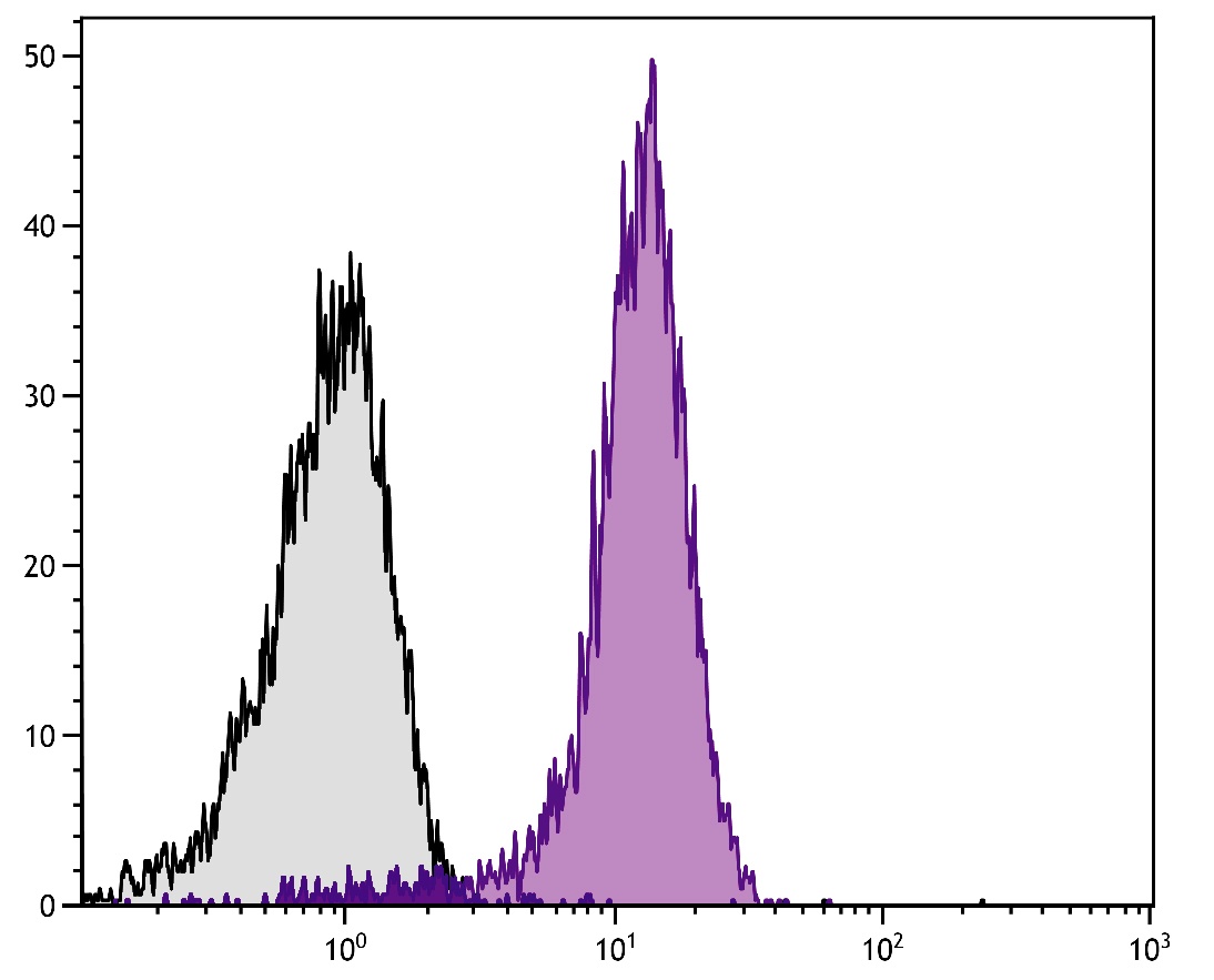 Pecam1 Antibody (PE/Cy7)