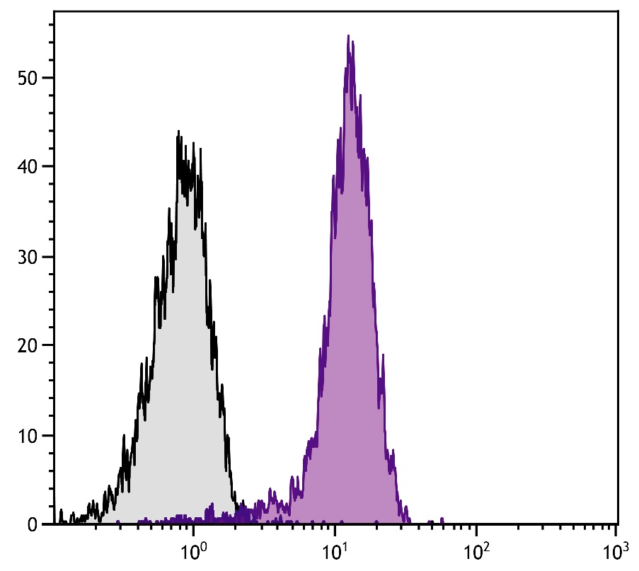 Pecam1 Antibody (APC)