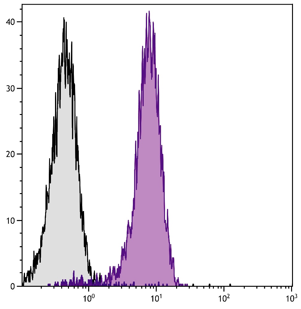 Pecam1 Antibody (PE)