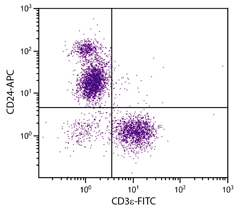 Cd24a Antibody (APC)