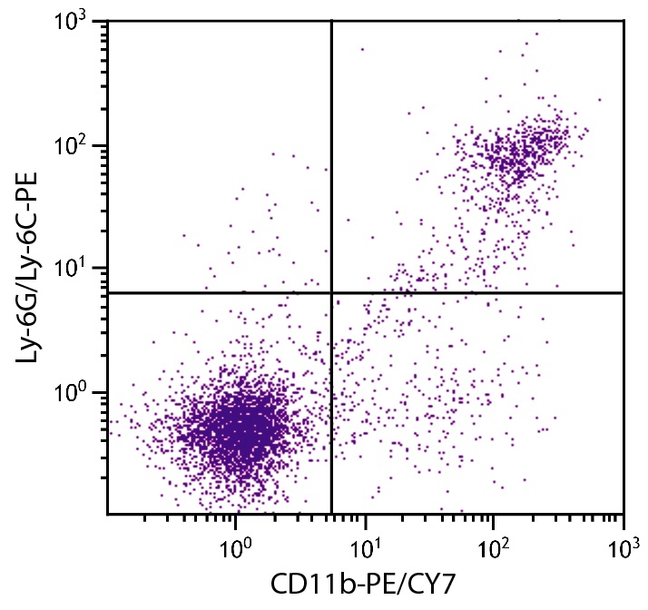 Itgam Antibody (PE/Cy7)