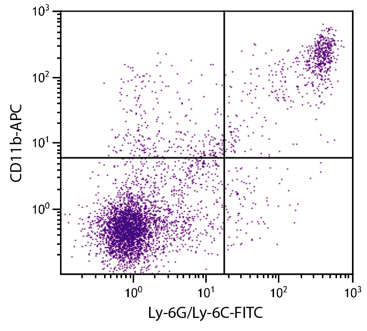 Itgam Antibody (APC)