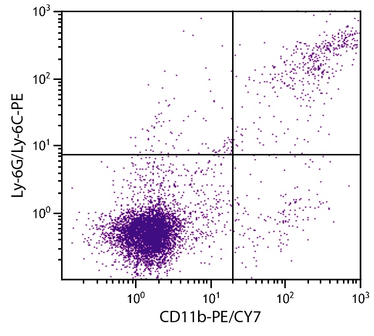 Itgam Antibody (PE/Cy7)