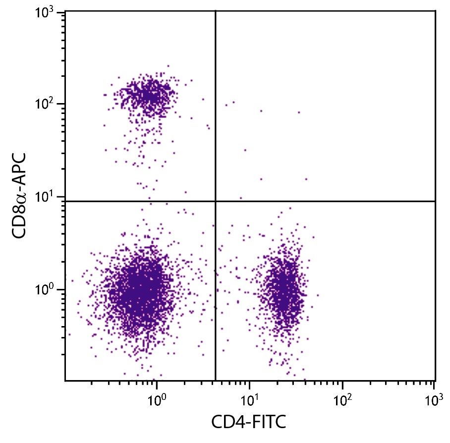 Cd8a Antibody (APC)