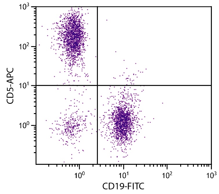Cd5 Antibody (APC)