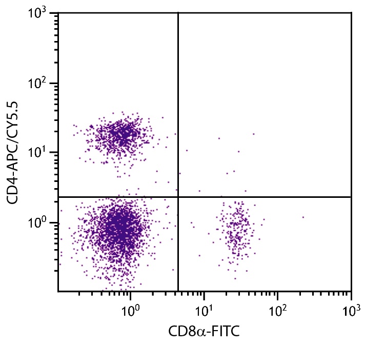 Cd4 Antibody (APC/Cy5.5)