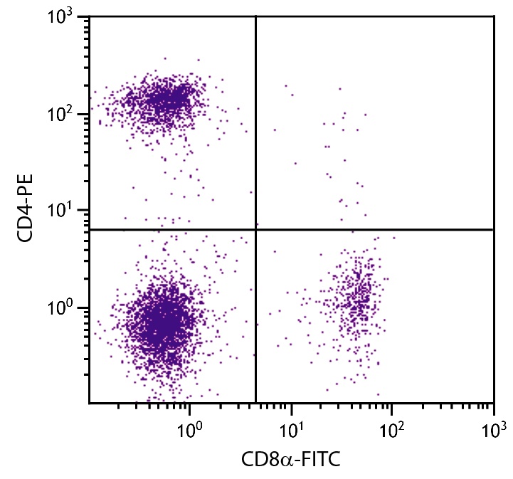 Cd4 Antibody (PE)