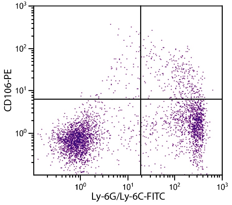 Vcam1 Antibody (PE)