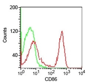 CD86 Antibody