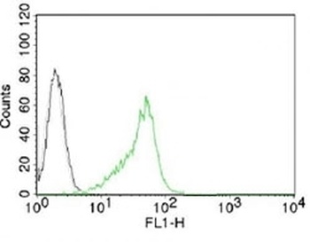 Nucleoli Marker Antibody [NCM102-1]