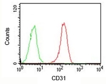 PECAM1 Antibody