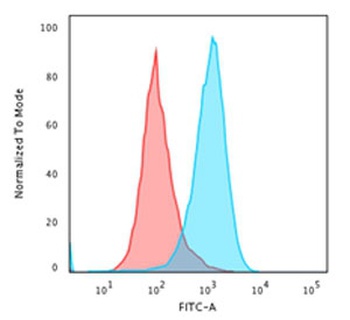 dsDNA Antibody [AE-2]