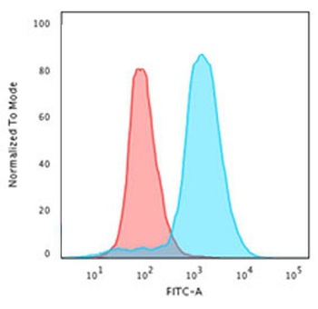 Double Stranded DNA Antibody [SPM603]