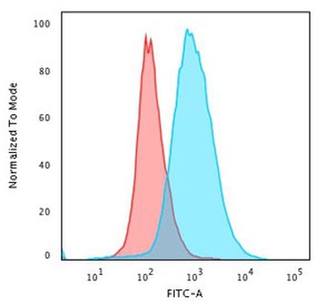 CD28 Antibody