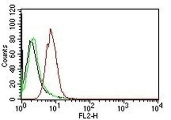 Cyclin D1 Antibody [CCND1/809]