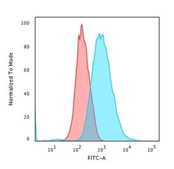 KRT7 Antibody