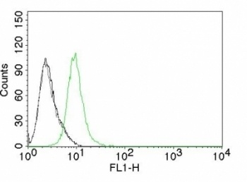 CDKN1B Antibody