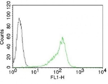 Nucleoli Marker Antibody [NM95]