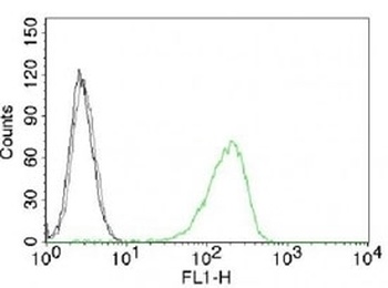 TFRC Antibody