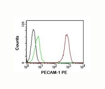 PECAM-1 Antibody [C31.7]
