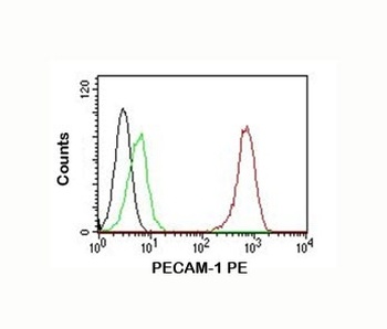 PECAM1 Antibody