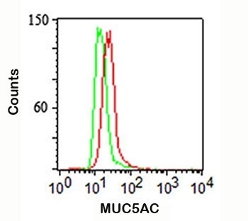 MUC5AC Antibody