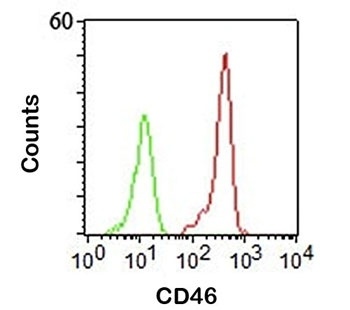 CD46 Antibody