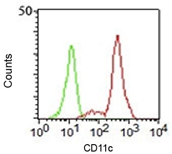 ITGAX Antibody
