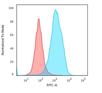 HSPD1 Antibody