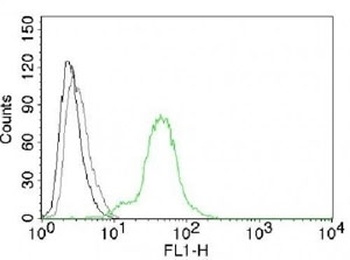 ESR2 Antibody