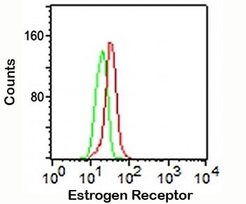 ESR1 Antibody