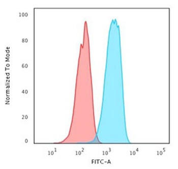 ERBB2 Antibody