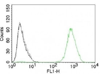 EGFR Antibody [GFR450]