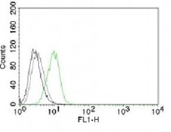CDKN1B Antibody