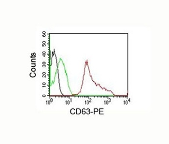 CD63 Antibody