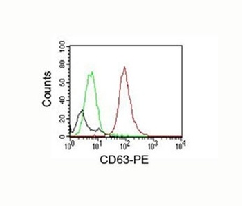 CD63 Antibody