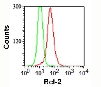 BCL2 Antibody