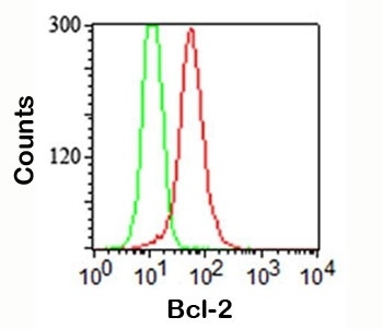 Bcl-2 Antibody [100/D5]
