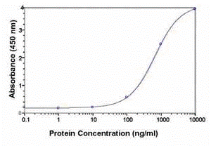 ORM1 Antibody