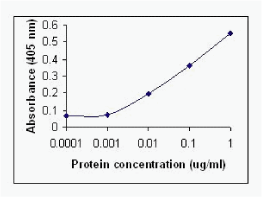 CXCL10 Antibody