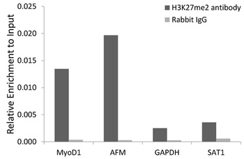 H3K27me3 Antibody