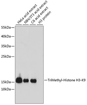 H3K9me3 Antibody