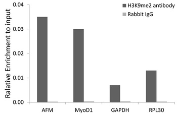 DiMethyl-Histone H3-K9 pAb