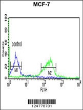 C9orf91 Antibody