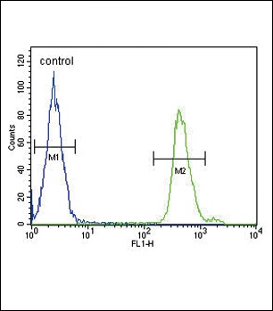 SMAD3-S208 Antibody