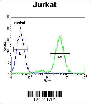 IMMP2L Antibody