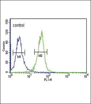 DNAJC6 Antibody