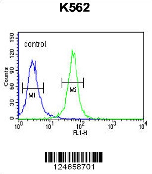 SPDYA Antibody